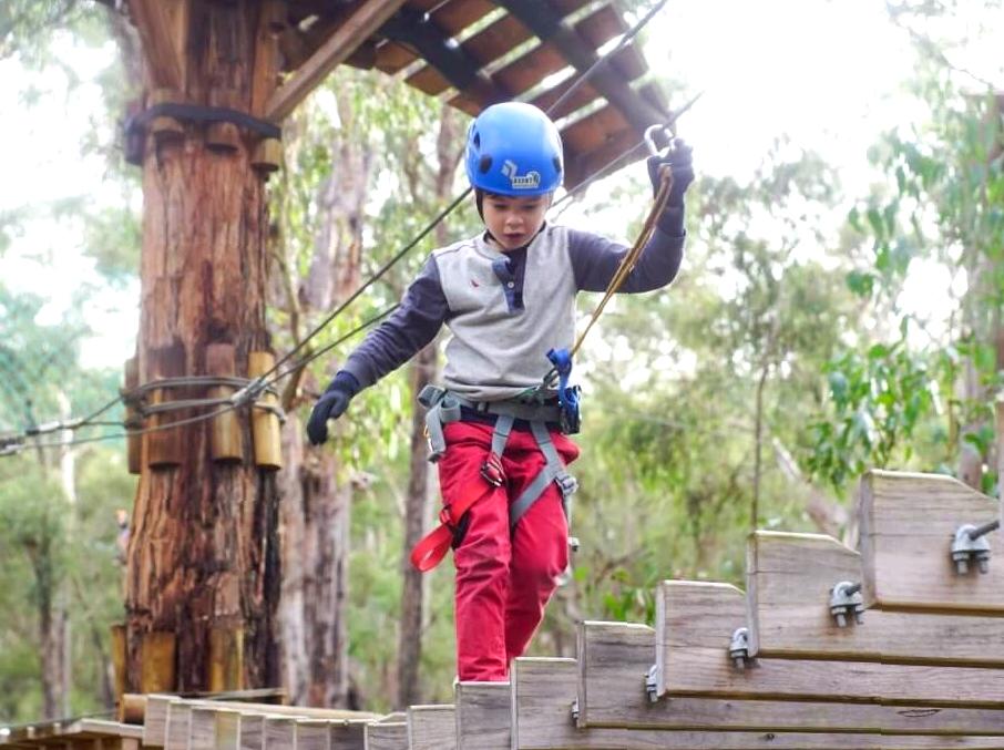 Discover the Excitement of Zip-lining Through Forest Canopies