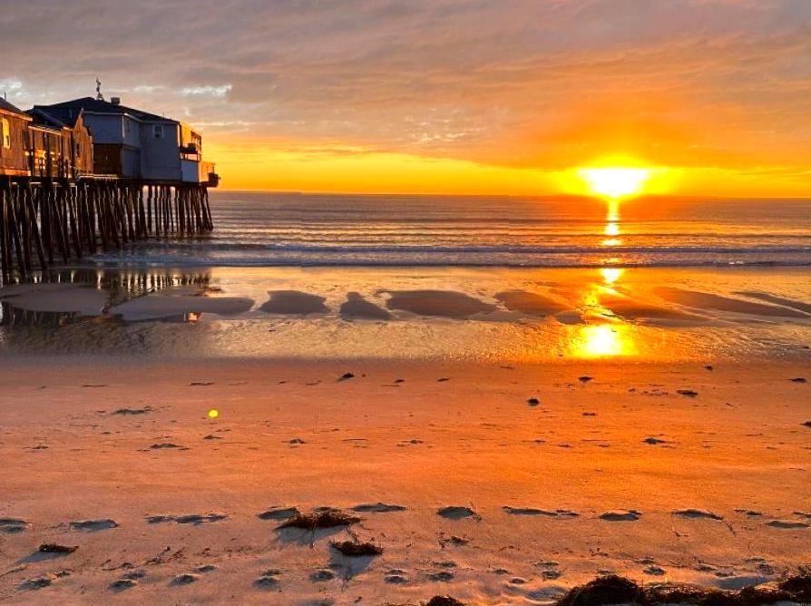 Compete in the Pier to Pub Swim Event